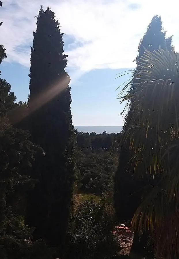 Ferienwohnung Sunny Day Rovinj Apartment